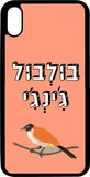 כיסוי בעיצוב משפטים - בולבול ג'ינג'י