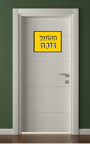 shlatim-hapoel-zona