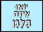 shlatim-yoou-eizei-balagan